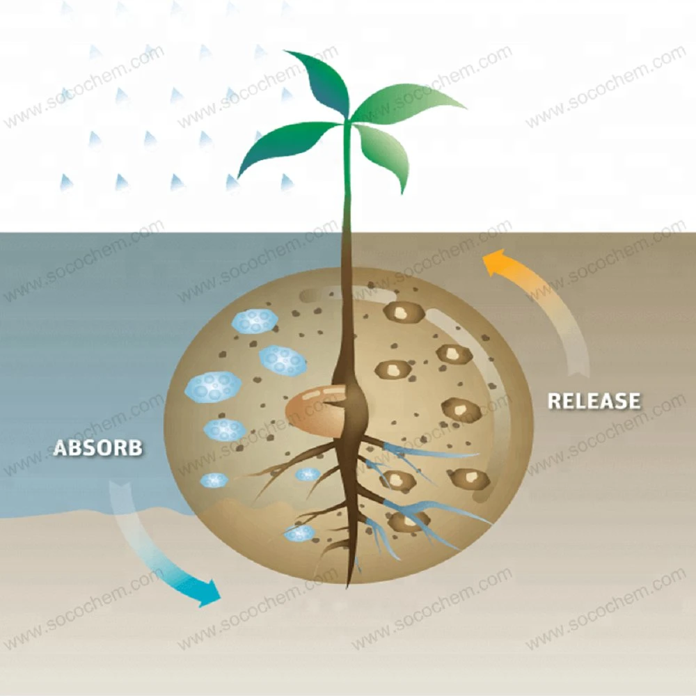 Solid Water Potassium Acrylate Agriculture Horticulture Hydrogel Super Absorbent Polymer for Plant/Seedling/Fertilizer